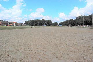 4.000 m² Abreiteplatz aus Schafwolle