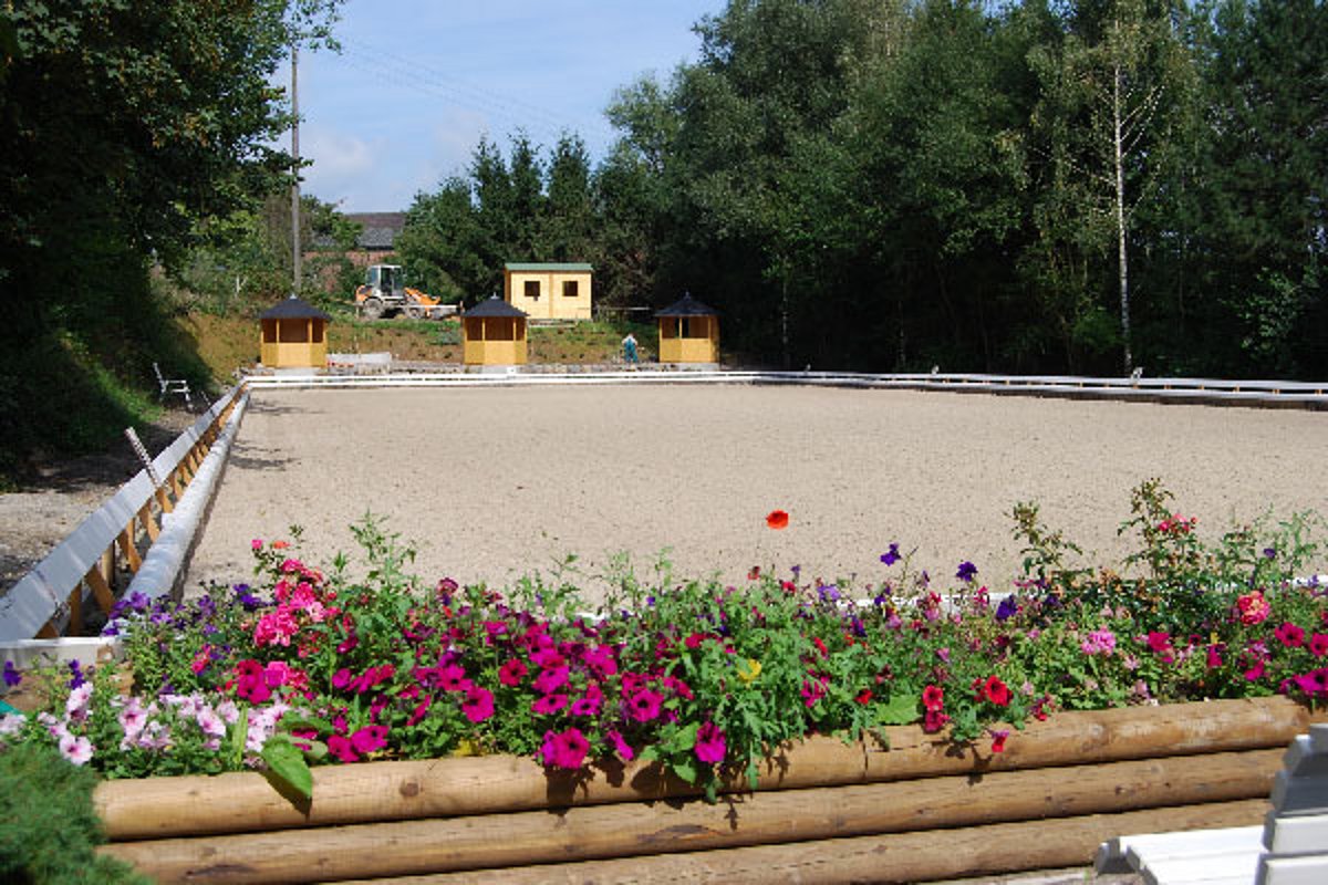 Ab Welcher Größe Ist Ein Reitplatz Genehmigungspflichtig Reitplatz: Böden für ein gutes Reitgefühl | EHG Reitplatzbau