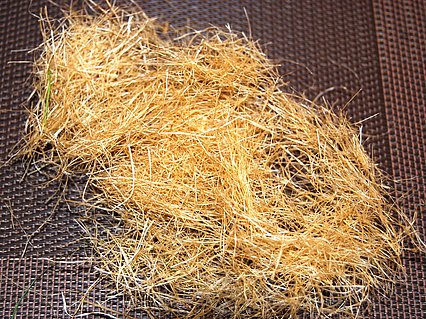 Sisalfasern in einer Nahaufnahme