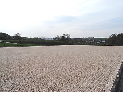 angelegter Reitplatz mit heller Tretschicht und gleichmäßiger Struktur