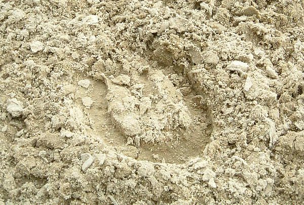 sand layer